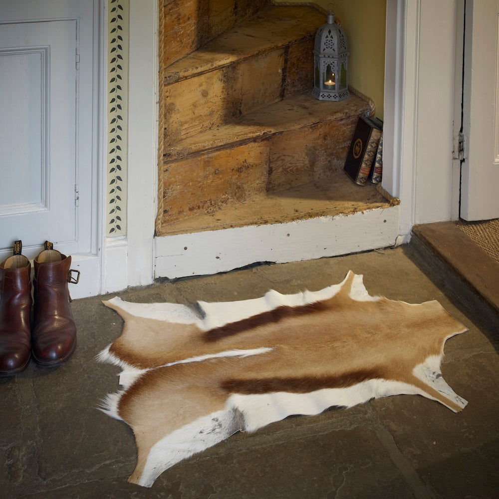 Animal Hides