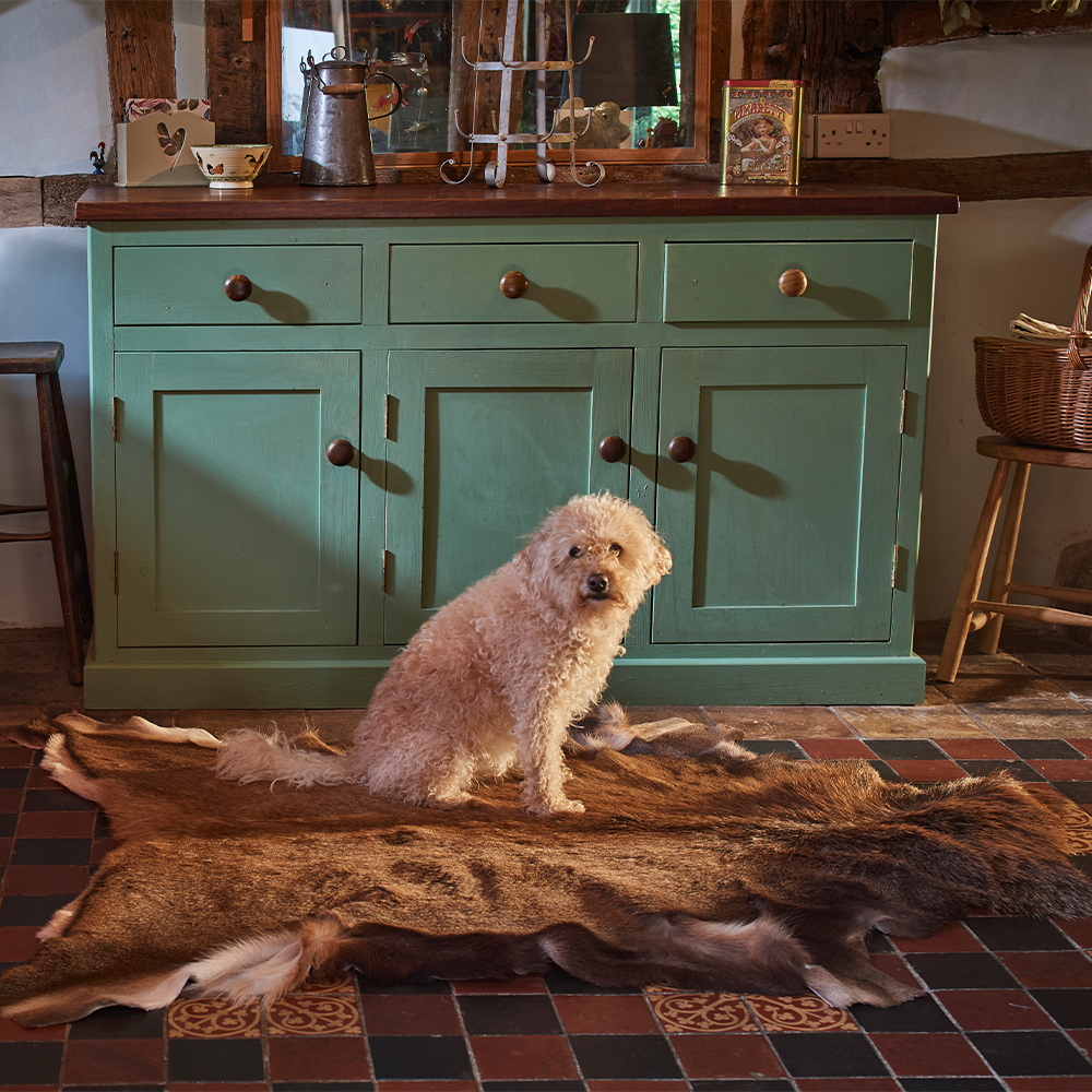 Deer Hides