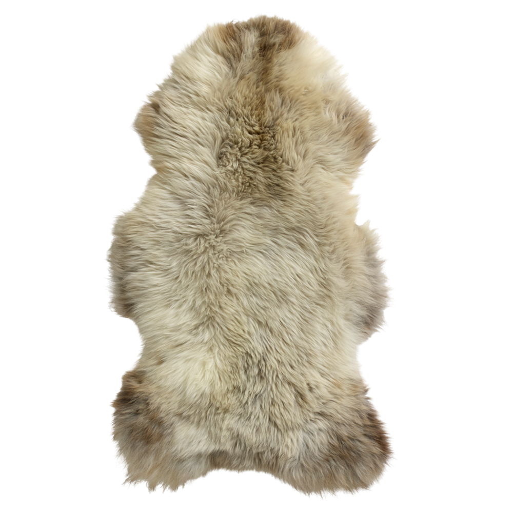 Big Dutch Silky Sheepskin