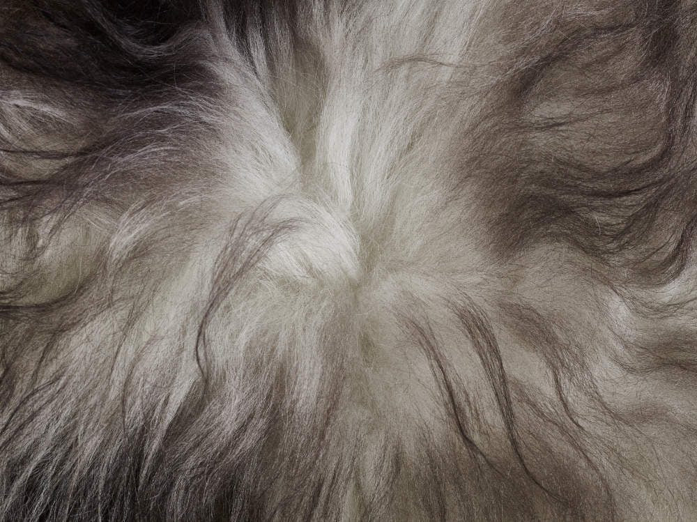 Luxury Icelandic Sheepskin Rug