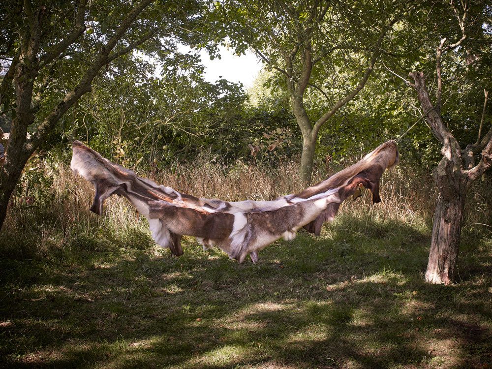 Premium Luxury Reindeer Hide