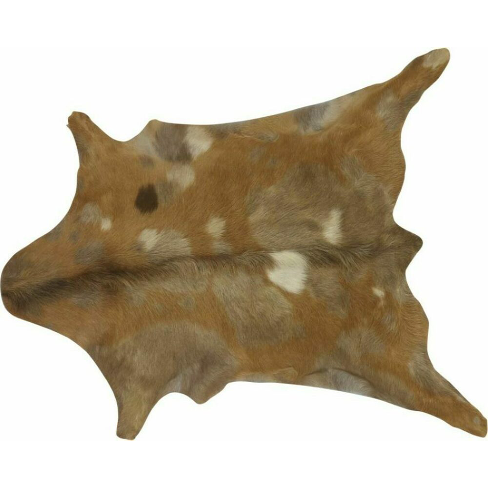 South American Goat Hide