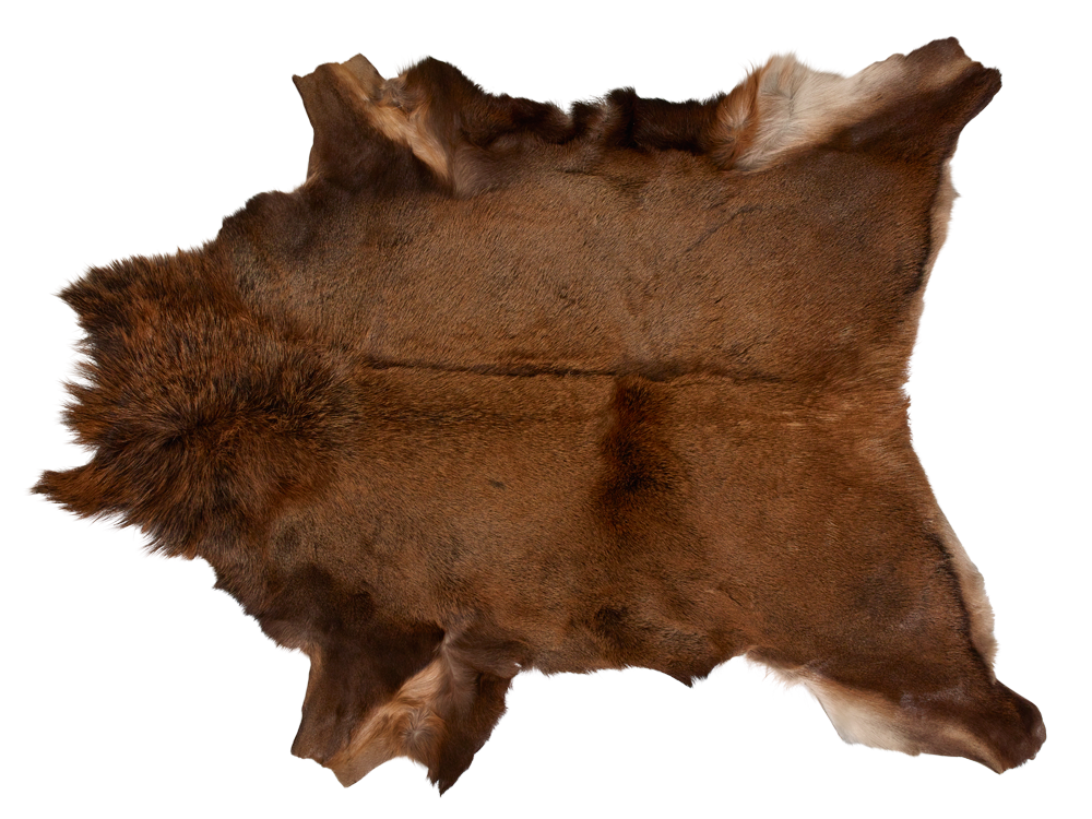 Red Deer Skin