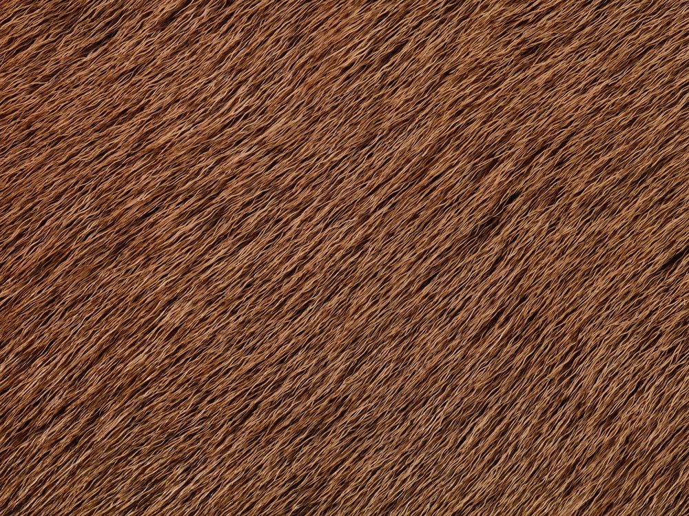 Red Deer Skin
