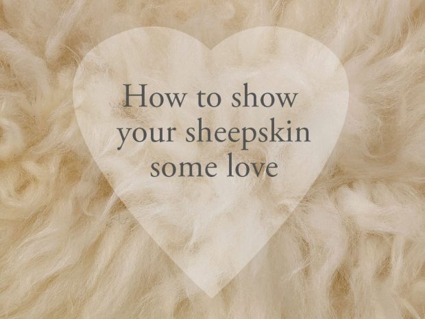 How to care for sheepskin rugs: a guide to keeping your sheepskin rug soft and fluffy