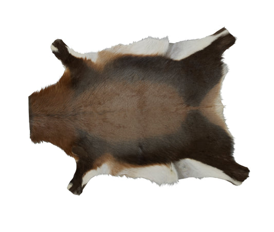 Blesbok Hide