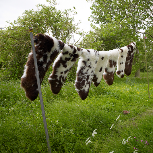 Jacob Sheepskin Rug
