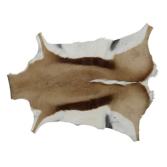 Springbok Hide