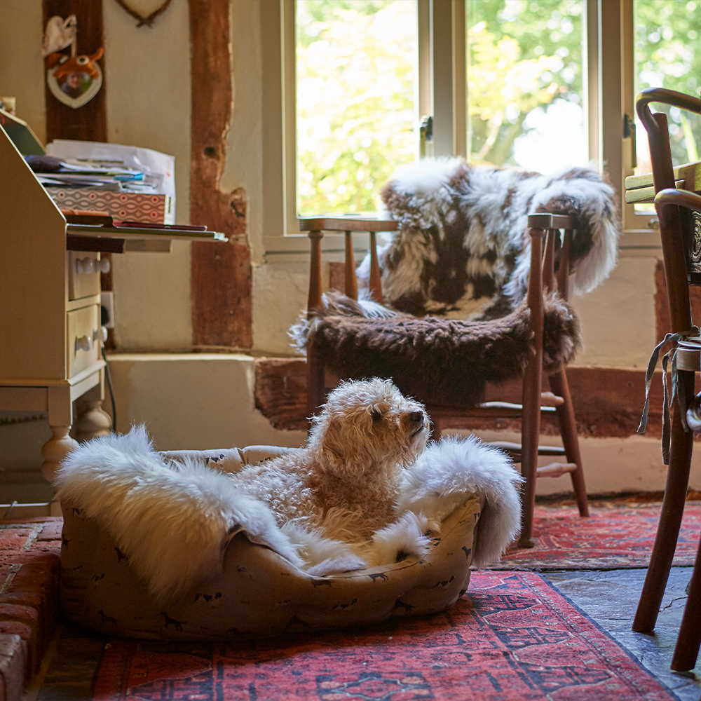 Rare Breed Sheepskin Dog Bed