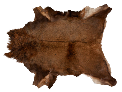 Red Deer Skin
